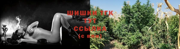 гидропоника Абинск