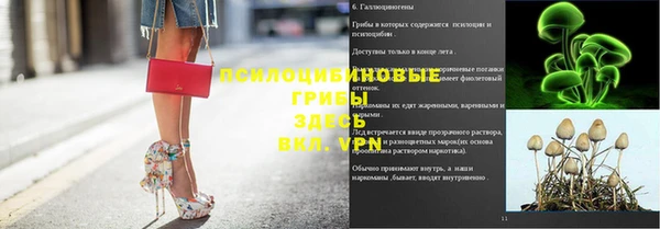 apvp Алексеевка