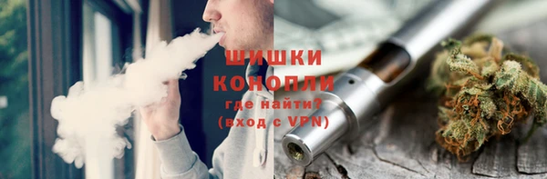 прущие грибы Алзамай